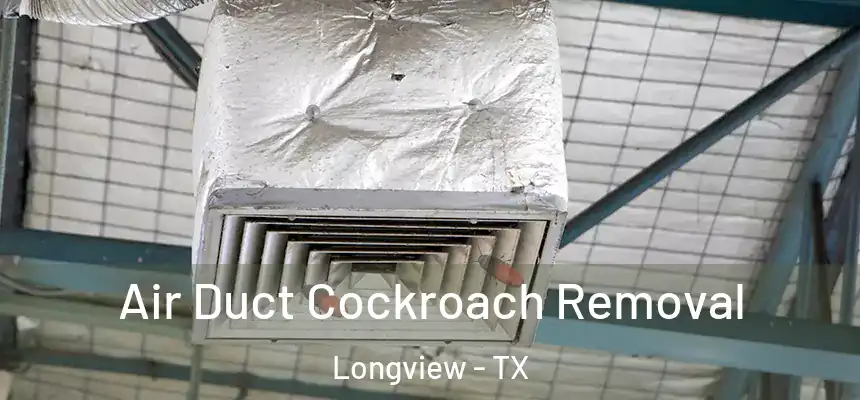 Air Duct Cockroach Removal Longview - TX