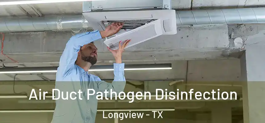 Air Duct Pathogen Disinfection Longview - TX