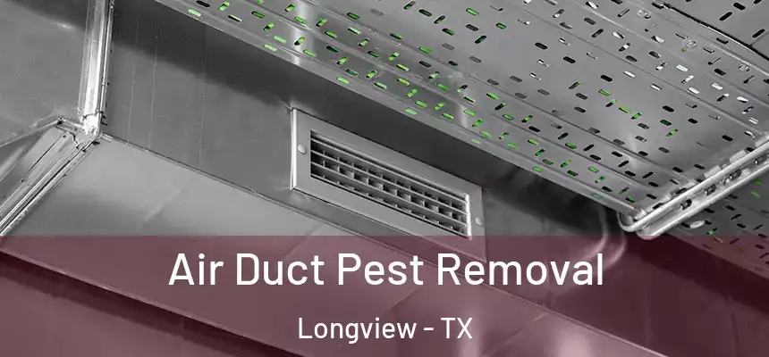 Air Duct Pest Removal Longview - TX
