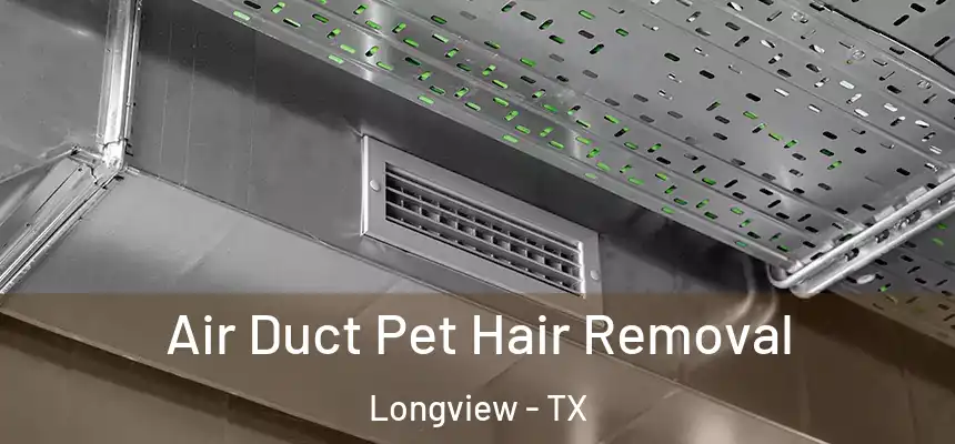 Air Duct Pet Hair Removal Longview - TX