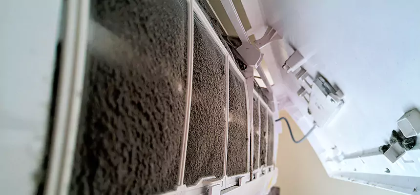 Preventive Air Duct Bacteria Removal in Longview