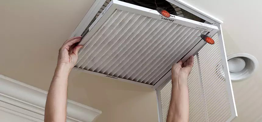 Our Insect Removal from Air Ducts Services in Longview, TX