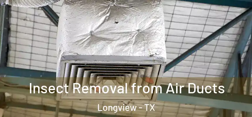 Insect Removal from Air Ducts Longview - TX