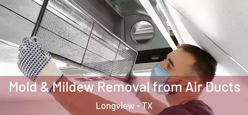 Mold & Mildew Removal from Air Ducts Longview - TX