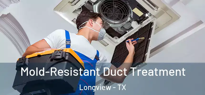 Mold-Resistant Duct Treatment Longview - TX