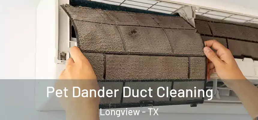 Pet Dander Duct Cleaning Longview - TX