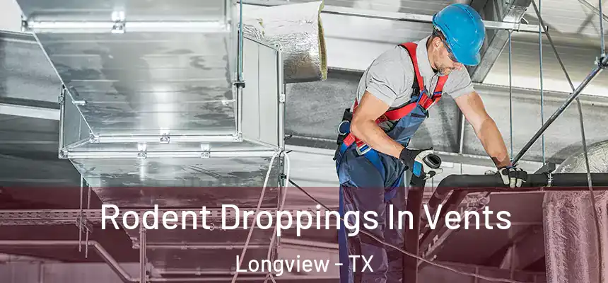 Rodent Droppings In Vents Longview - TX