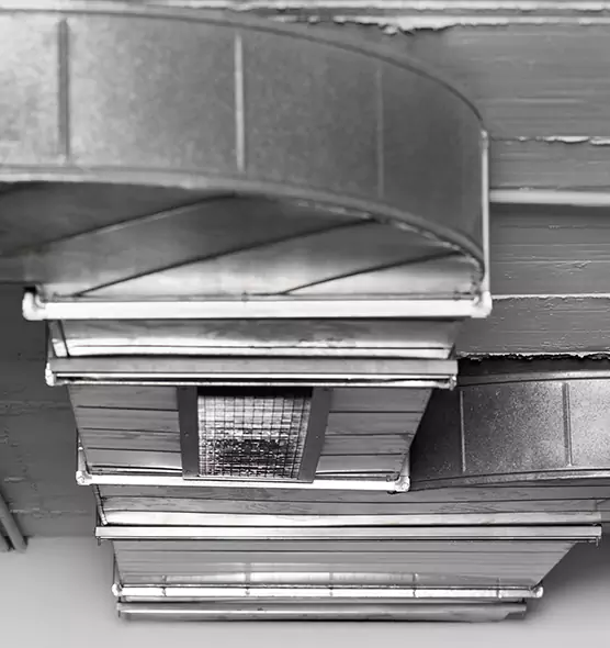 Professional Air Duct Pet Hair Removal in Longview, TX